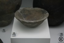 Plato 11 (Estación ferrocarril)