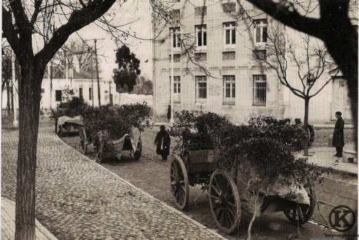 Carros camuflados de las tropas nacionales en la calle Eugenia de Montijo (1936)