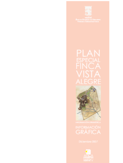 7-plan-especial-de-la-finca-de-vista-alegre-informacion-grafica-diciembre-2007