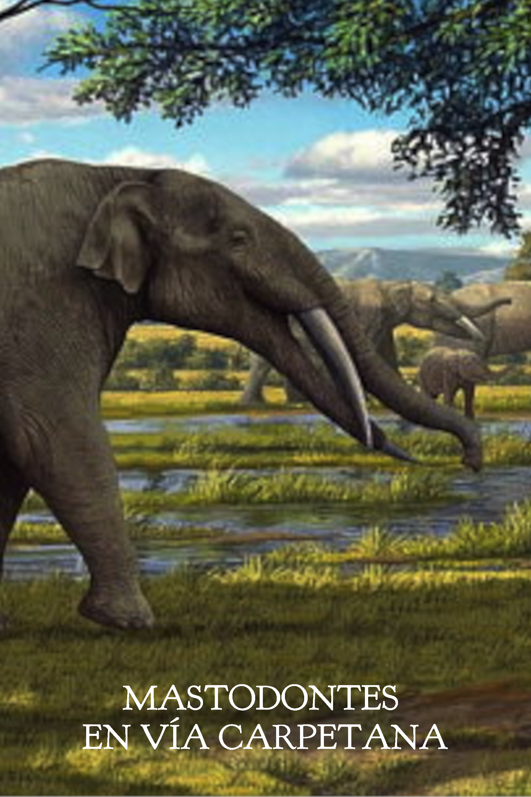 1. Mastodontes en Vía Carpetana